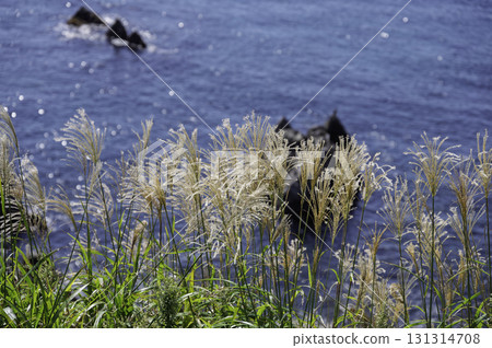 View from Cape Tachimachi 131314708