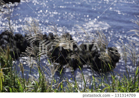 立町岬視圖 131314709