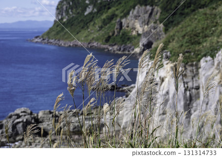 View from Cape Tachimachi View from Cape Tachimachi 131314733