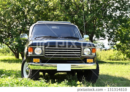 Land Cruiser 86 Renoka in the green 131314810