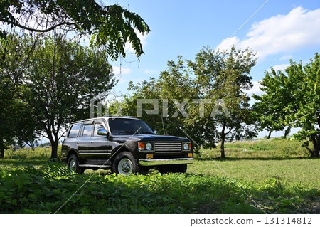 Land Cruiser 86 Renoka in the green 131314812
