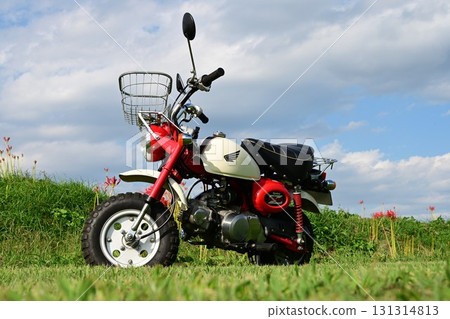 Red Monkey and Manjushage Red Monkey and Manjushage 131314813