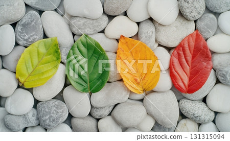Autumn leaves green, red and yellow on grey stones pattern background Autumn leaves green, red and yellow on grey stones pattern background 131315094