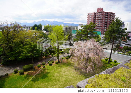 岩手縣盛岡城跡公園 岩手縣盛岡城跡公園 131315353
