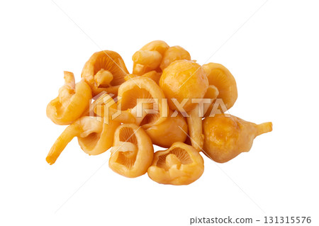 Large mushrooms on a transparent background (png) 131315576