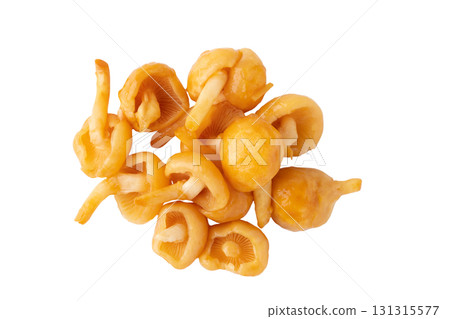 Large mushrooms on a transparent background (png) Large mushrooms on a transparent background (png) 131315577