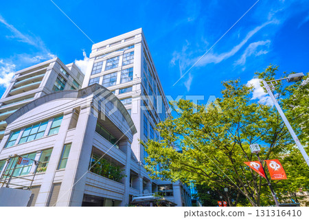 日本東京城市景觀，俯瞰東京表參道鬱鬱蔥蔥的綠色植物 131316410