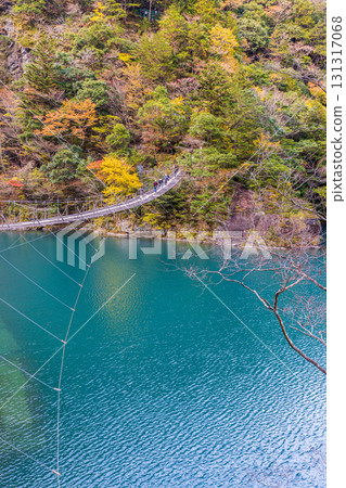 靜岡縣寸又峽夢幻吊橋的秋景 131317068