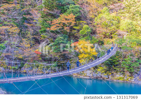靜岡縣寸又峽夢幻吊橋的秋景 131317069