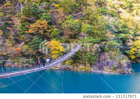 靜岡縣寸又峽夢幻吊橋的秋景 131317071