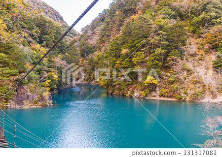靜岡縣寸又峽夢幻吊橋的秋景 131317081