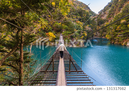 靜岡縣寸又峽夢幻吊橋的秋景 131317082