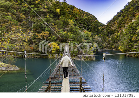 靜岡縣寸又峽夢幻吊橋的秋景 131317083