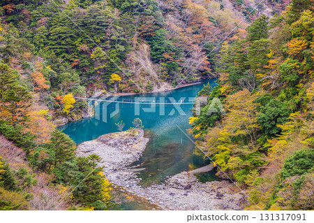 Autumn scenery of the Dream Suspension Bridge in Sumata Gorge, Shizuoka Prefecture Autumn scenery of the Dream Suspension Bridge in Sumata Gorge, Shizuoka Prefecture 131317091