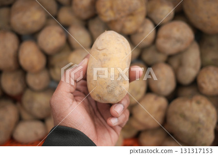 Hand holding a fresh potato in a produce market 131317153