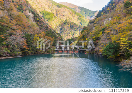 Autumn scenery at Sumata Gorge, Shizuoka Prefecture Autumn scenery at Sumata Gorge, Shizuoka Prefecture 131317239