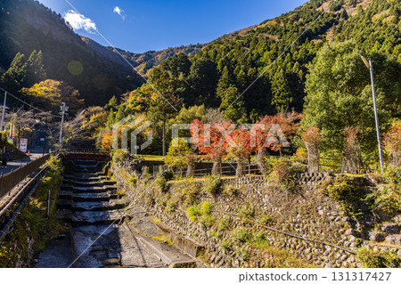 靜岡縣寸又峽的秋景 131317427