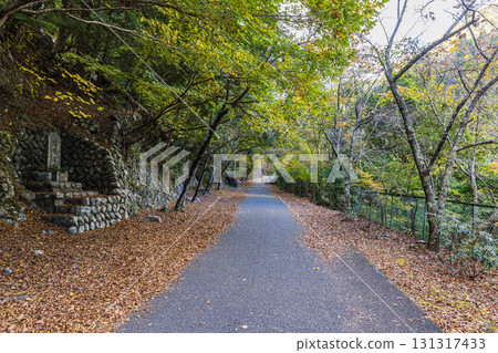 靜岡縣寸又峽的秋景 131317433