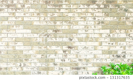 Background image of a light ochre brick wall with green leaves in the lower right foreground 131317635