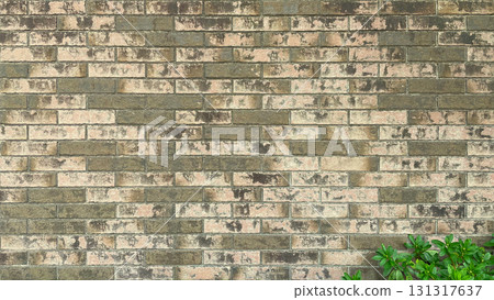 Background image of green leaves in the lower right corner of an ochre brick wall Background image of green leaves in the lower right corner of an ochre brick wall 131317637