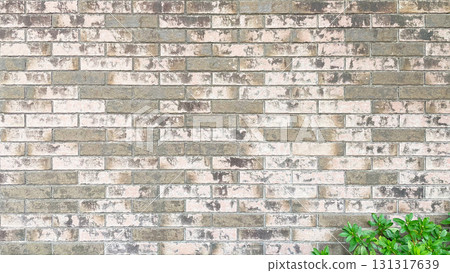 Background image of a light brown brick wall with green leaves in the lower right foreground Background image of a light brown brick wall with green leaves in the lower right foreground 131317639