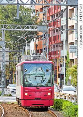 都電荒川線(東京櫻花電車)8800系列(8801) 都電荒川線(東京櫻花電車)8800系列(8801) 131317981