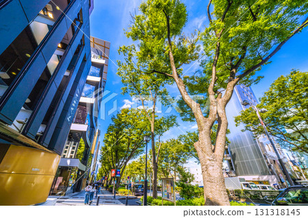 Tokyo cityscape in Japan, overlooking the lush greenery of Omotesando, Tokyo 131318145