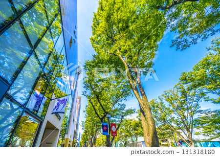 日本東京城市景觀。東京表參道和博柏利商店的鬱鬱蔥蔥的綠色景觀（24日） 131318180