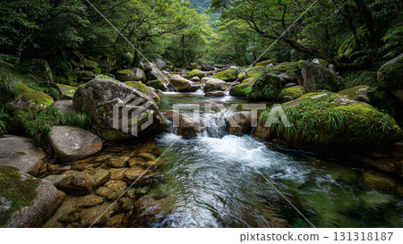 一條清澈的溪流流過新鮮的綠色森林 一條清澈的溪流流過新鮮的綠色森林 131318187