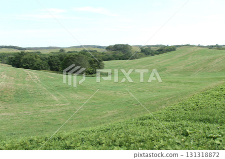 Konsen Plateau Southern Konsen Plateau Hilly area Pasture Konsen Plateau Southern Konsen Plateau Hilly area Pasture 131318872