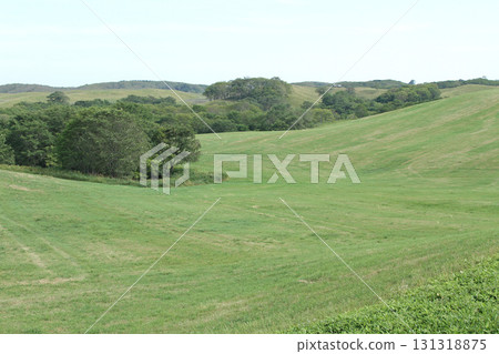 Konsen Plateau Southern Konsen Plateau Hilly area Pasture Konsen Plateau Southern Konsen Plateau Hilly area Pasture 131318875
