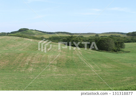 昆泉高原 南部昆泉高原 丘陵地區 牧場 131318877