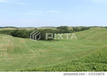 Konsen Plateau Southern Konsen Plateau Hilly area Pasture Konsen Plateau Southern Konsen Plateau Hilly area Pasture 131318878