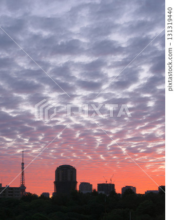 初秋清晨,卷積雲籠罩的天空。城市景觀(2025年9月) 初秋清晨,卷積雲籠罩的天空。城市景觀(2025年9月) 131319440