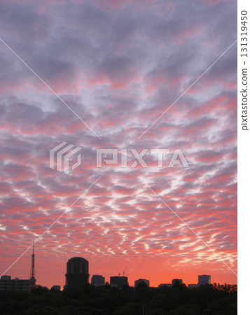 Early autumn morning sky shrouded in cirrocumulus clouds. Cityscape (September 2025) Early autumn morning sky shrouded in cirrocumulus clouds. Cityscape (September 2025) 131319450