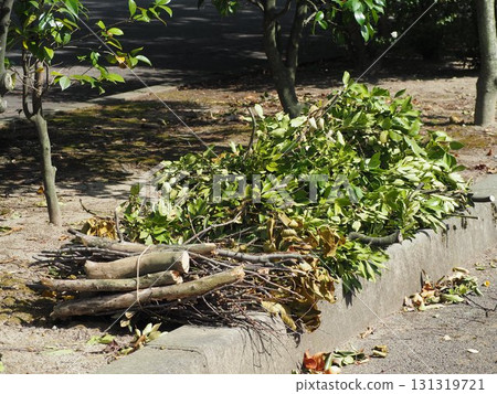 收穫的樹 收穫的樹 131319721