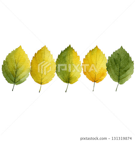 黃綠色至黃色葉子的水彩插圖 | 秋天，植物，透明PNG 131319874
