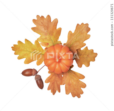 Autumn floral arrangement of oak leaves, acorns and candle pumpkin cut out on white background 131320671