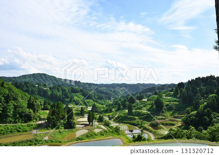 Yamakoshi rice terraces and ponds (Niigata Prefecture) 131320712