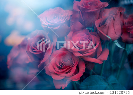 Red roses through the window 131320735