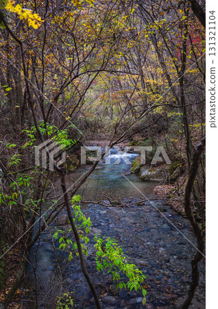 Stroll around Lake Momiji 131321104