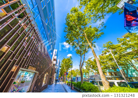 日本東京城市景觀，俯瞰東京表參道鬱鬱蔥蔥的綠色植物 131321248