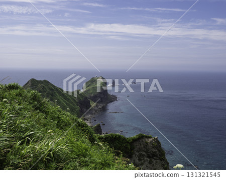 一座伸入海中的美麗雕塑 131321545