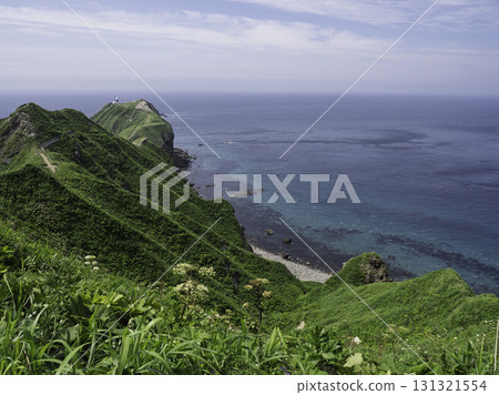 一座伸入海中的美麗雕塑 131321554