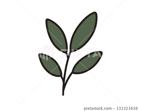 Illustration of a leaf 131321638
