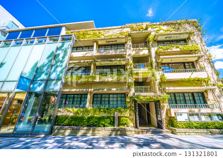 Tokyo cityscape in Japan: Overlooking the lush greenery of Omotesando, Omotesando Hills, and Dojunkan 131321801