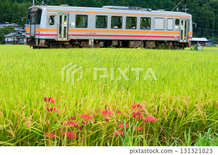 Kishin Line local train 2 bound for Niimi Station running through the rural landscape of early autumn, Maniwa City, Okayama Prefecture 131321823
