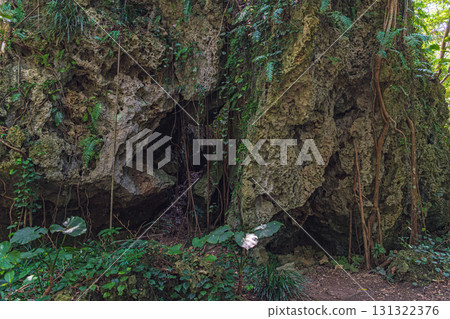 Scenery of the worship hall at Sefa Utaki in Okinawa 131322376