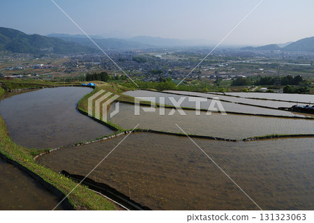Tanada, Obasute rice field / A view of rice terraces where rice has just been planted under clear spring skies 131323063