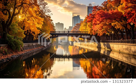 城市河流,兩岸秋色樹木,橋與水面上倒映的金色光芒 城市河流,兩岸秋色樹木,橋與水面上倒映的金色光芒 131323377